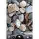 Image for article titled How to Take Better Photos With Your Smartphone